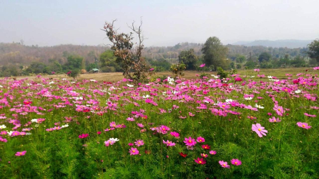 Phu Pai Art Resort Мэхонгсон Экстерьер фото